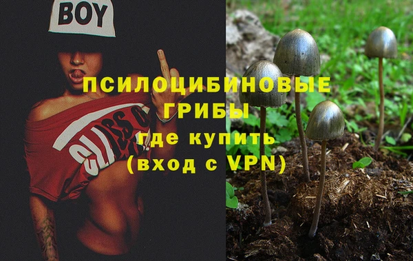 а пвп мука Абаза